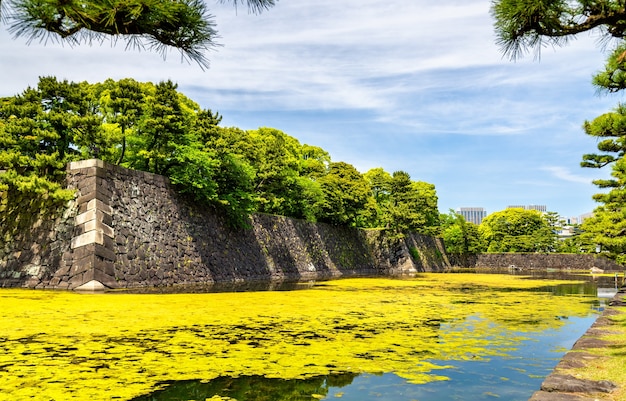 Fosa Wokół Pałacu Cesarskiego W Tokio, Japonia