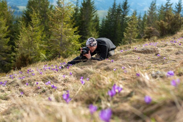 Fotograf fotografuje krokusy