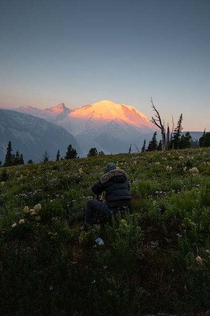 Fotograf Robienia Zdjęć Mount Rainier I Polne Kwiaty W Waszyngtonie