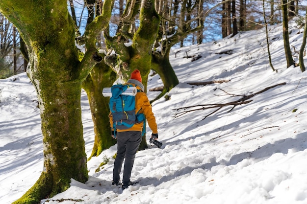 Fotograf Trekkingowy Z Plecakiem Robiący Zimowe Zdjęcia Lasu Bukowego Ze śniegiem