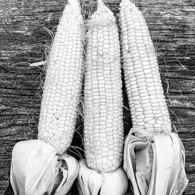 Fotografia do tematu piękna kolba kukurydzy warzywnej