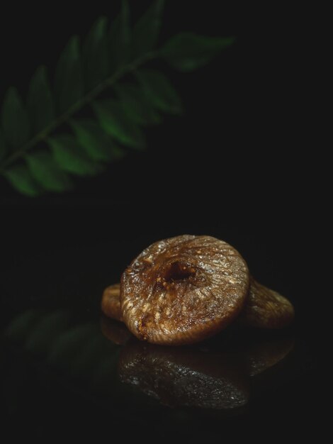 Zdjęcie fotografia figg w ciemnym nastroju