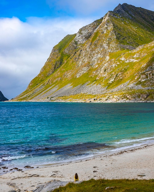 fotografia lotnicza długowłosej dziewczyny spacerującej po słynnej plaży haukland w norwegii na lofotach