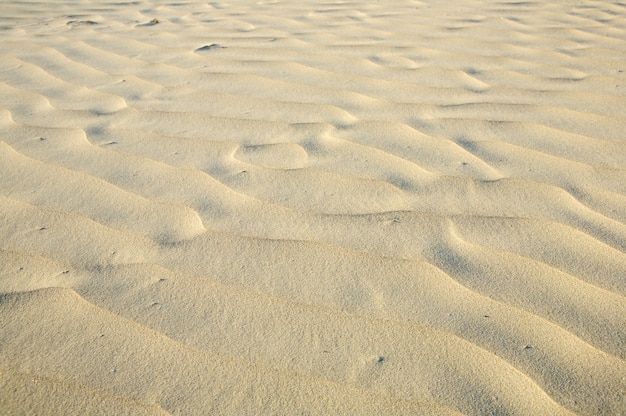 Fotografia Piasek W Plaży