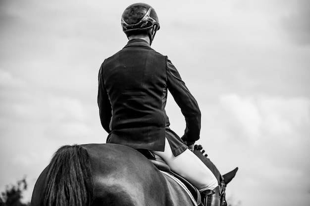Zdjęcie fotografia tematyczna skoków konnych, pokazów sportowych skoków konnych