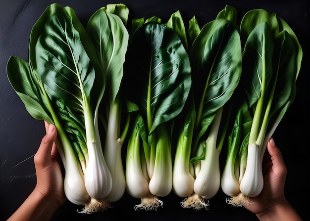 Fotografia warzyw świeże bok choy zielone odcienie