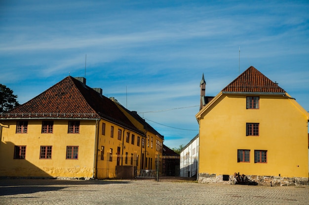 fotografia z krajobrazami i przyrodą w norwegii