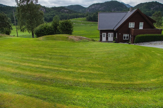 fotografia z krajobrazami i przyrodą w norwegii