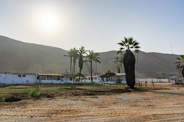 fotoksiążka domku na plaży z palmami na wybrzeżu Peru