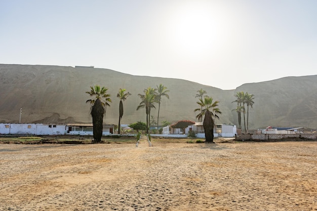 Fotoksiążka Domku Na Plaży Z Palmami Na Wybrzeżu Peru