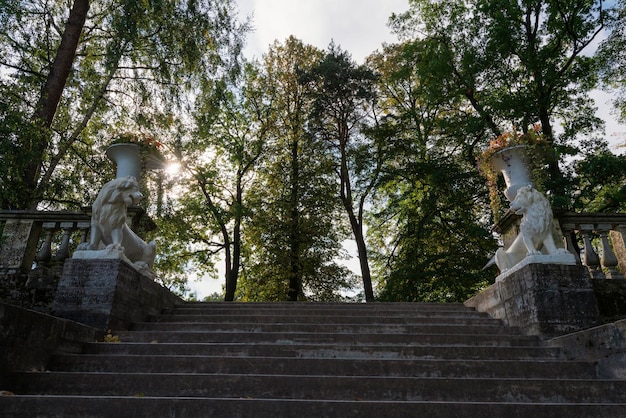 Fragment starożytnych włoskich schodów z marmurowym Lwem w Pawłowskim Parku Sankt Petersburg Rosja