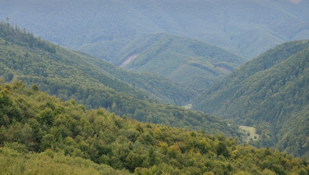 Fragment terenu górzystego w Karpatach na Ukrainie