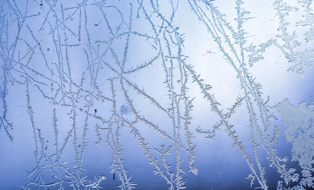 Zdjęcie frost na szkle abstrakcjonistyczna naturalna tekstura