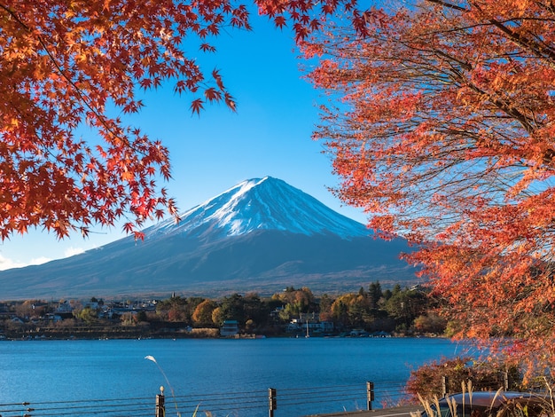Fuji góra z czerwonym klonem w przedpolu.