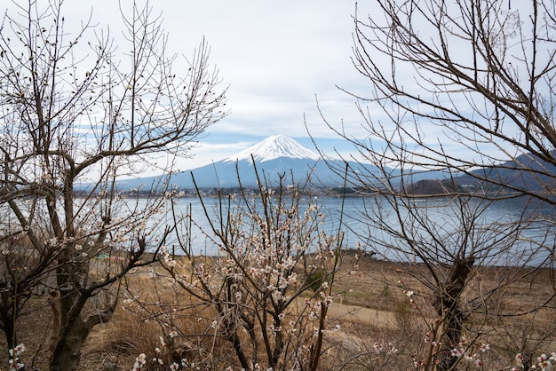 Fuji lanscape widok z kawaguchiko jeziorem