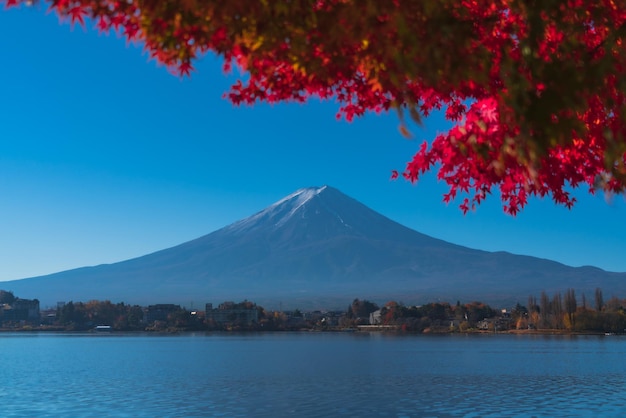 Fuji Mountain View