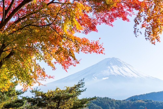 Fujisan i klon w Jeziornym Kawaguchi