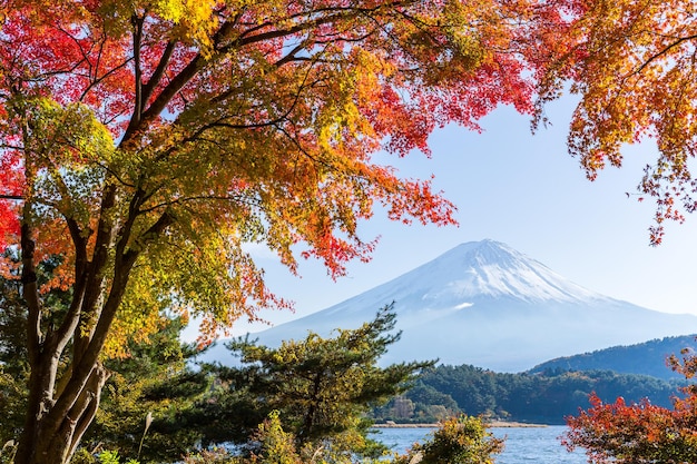 Zdjęcie fujisan jesienią