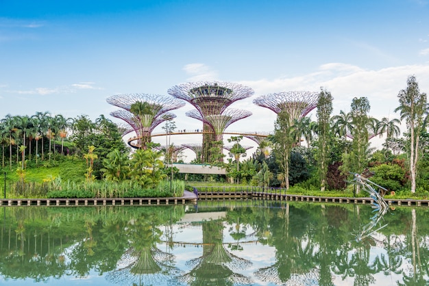 Futurystyczny widok niesamowitej iluminacji w Garden by the Bay