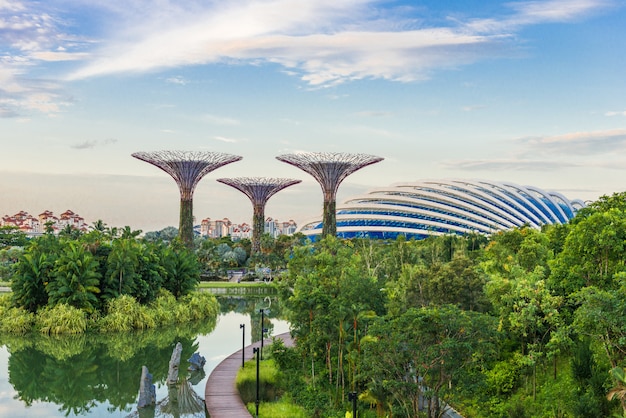 Futurystyczny widok niesamowitej iluminacji w Garden by the Bay