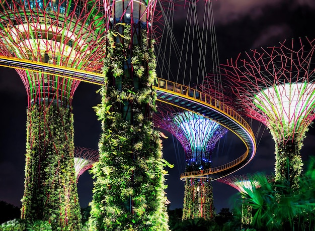 Gaj superdrzewa w Gardens by the Bay w centrum Singapuru. Jest to pokaz muzyczny i świetlny, gdy drzewa są oświetlone różnymi kolorami