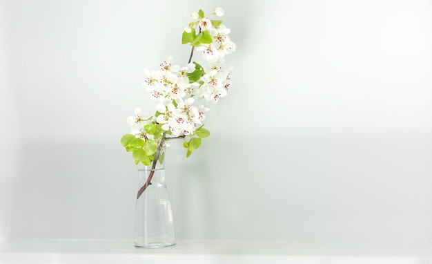 Gałąź kwitnącej sakury w szklanym wazonie, minimalizm we wnętrzu, projekt domu