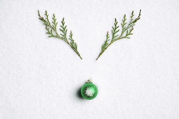 Gałąź sosnowa zielony nos renifer Boże Narodzenie Tło Natura śnieg Biały