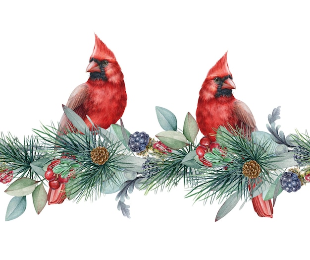 Gałąź sosnowa zimowa bezszwowa granica z czerwonymi ptakami kardynalskimi Akwarela ilustracja