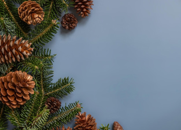 Gałęzie jodły i szyszki sosny widok z góry na niebieską przestrzeń kopii Kompozycja świąteczna lub noworoczna