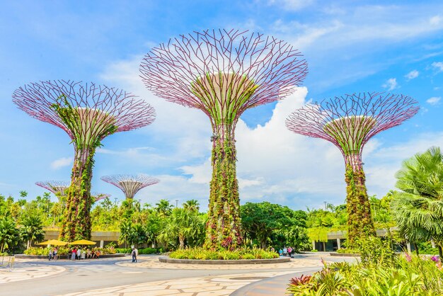 Zdjęcie gardens by the bay, singapur