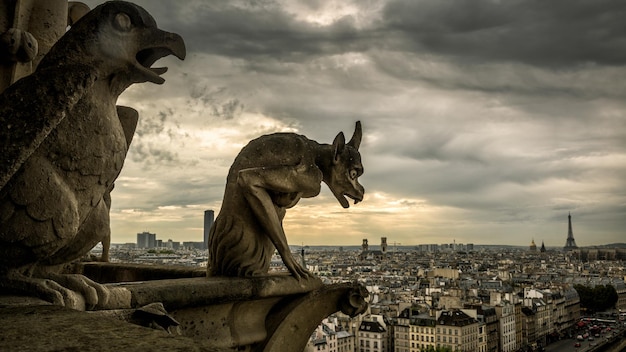 Gargulce na katedrze Notre Dame de Paris z widokiem na Paryż Francja
