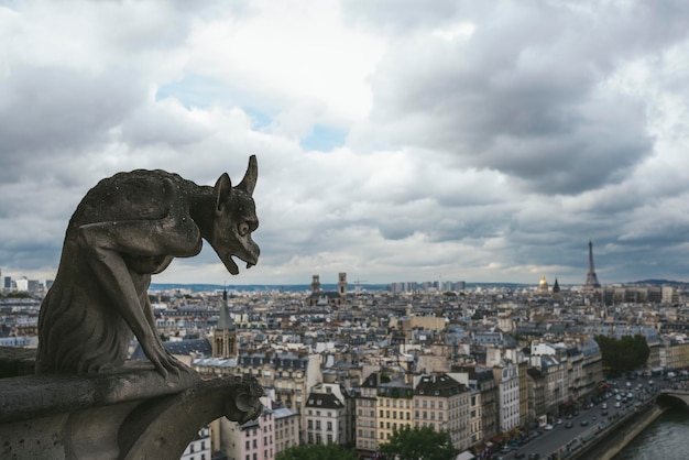 Gargulec lub chimera Notre Dame de Paris