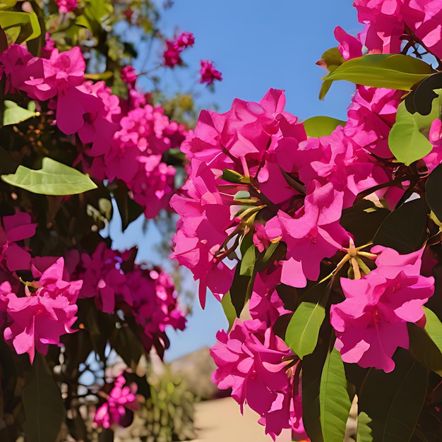 Zdjęcie garstka fioletowych kwiatów, które są na drzewie