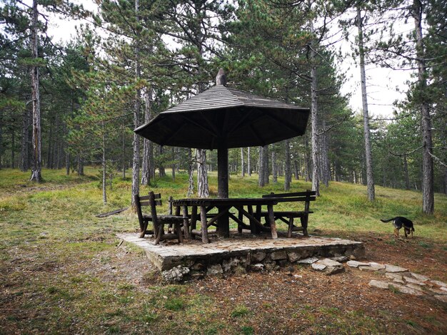 Zdjęcie gazebo na polu