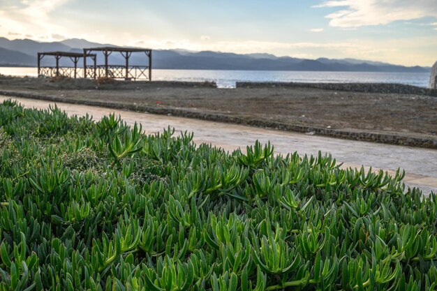 Zdjęcie gazebo plażowe z leżakami na śródziemnomorskiej plaży 3