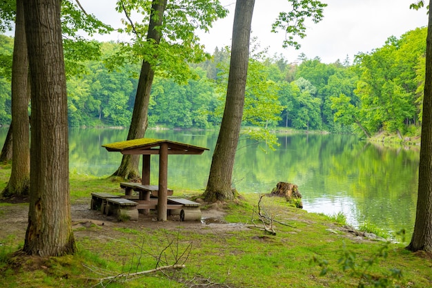 Zdjęcie gazebo w lesie