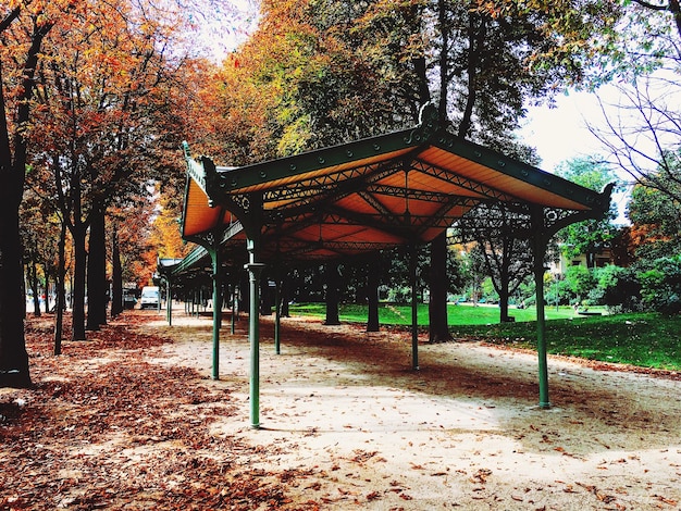 Zdjęcie gazebo w parku na tle nieba jesienią