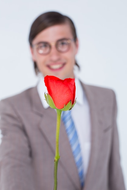 Geeky biznesmen oferuje róży