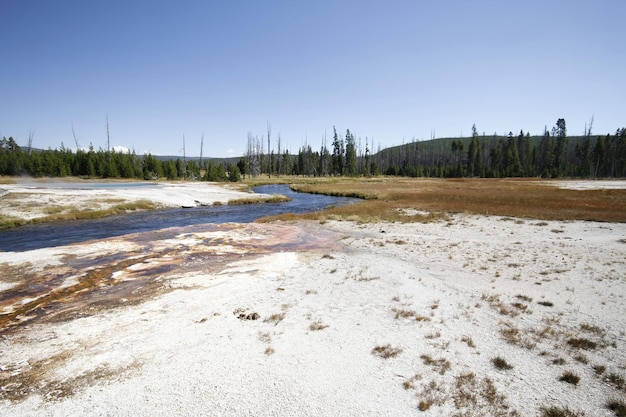 Gejzery siarki w parku narodowym Yellowstone w Wyoming USA