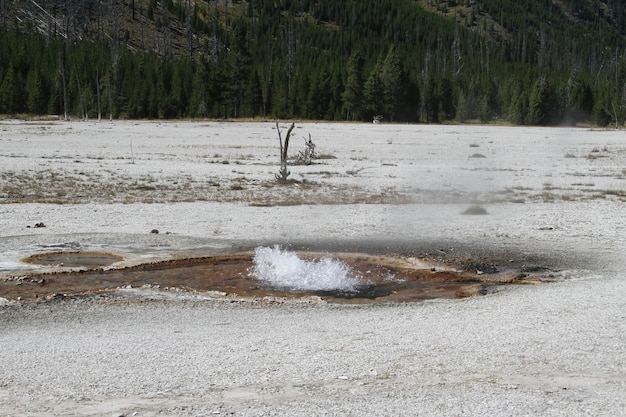 Gejzery w Parku Narodowym Yellowstone w Wyoming USA