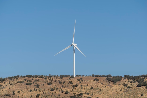 Generator elektrowni wiatrowej w krajobrazie przyrody