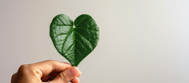 Generatywna ręka sztucznej inteligencji trzymająca zielony liść w kształcie serca koncepcja odnawialnych i zrównoważonych zasobów