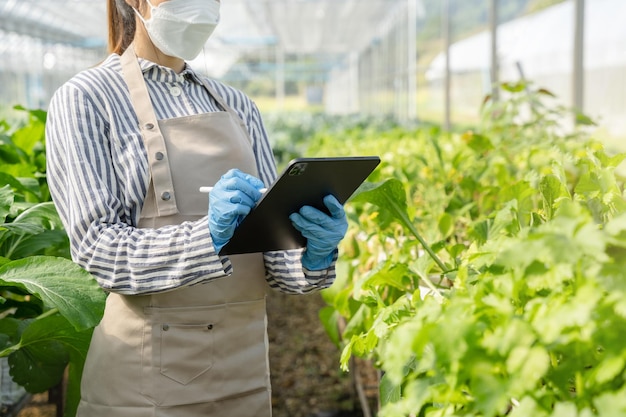 Genetycy, biolodzy i naukowcy badają strukturę genetyczną warzyw w szklarni