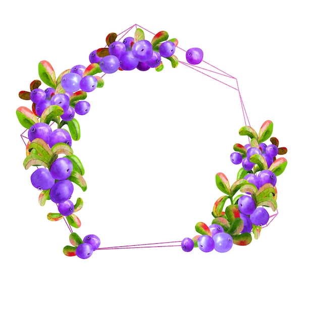 Geometryczna rama z dojrzałymi jagodami irgi na białym tle jest izolowana. Element graficzny. Ilustracja akwarela