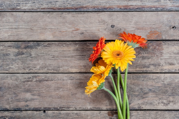 Gerbera Kwitnie Na Drewnianym, Kwiatowym Vintage