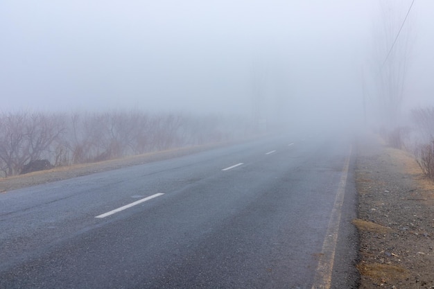 Gęsta mgła nad asfaltową drogą z zerową widocznością