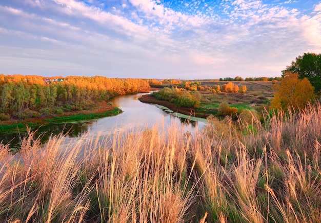 Gęsta Trawa Nad Korytem Rzeki Tula Pod Zachmurzonym Niebem Region Nowosybirsk Syberia Rosja