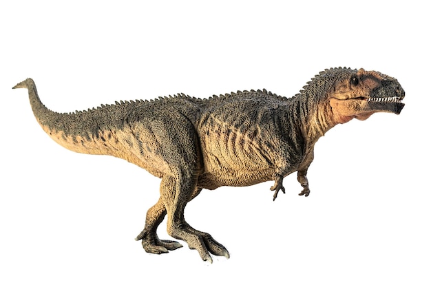 Zdjęcie giganotosaurus dinozaur na białym tle