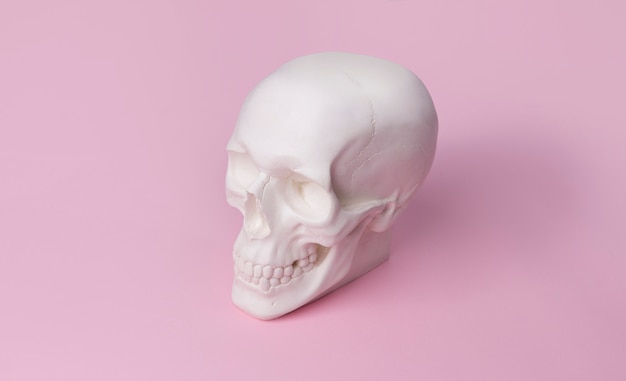 Gipsowa czaszka na pastelowym różowym stole.