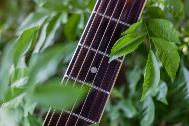 Gitara Szyi